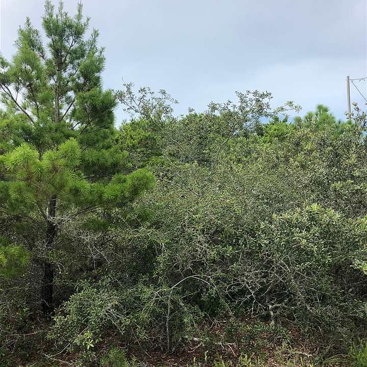 2nd image of Sea Shell Dr