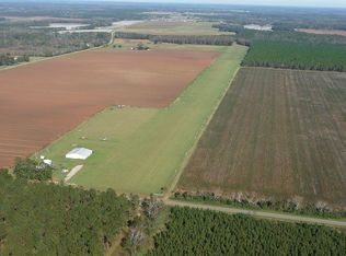 1032 Youngs Mill Rd, Plains, GA 31780