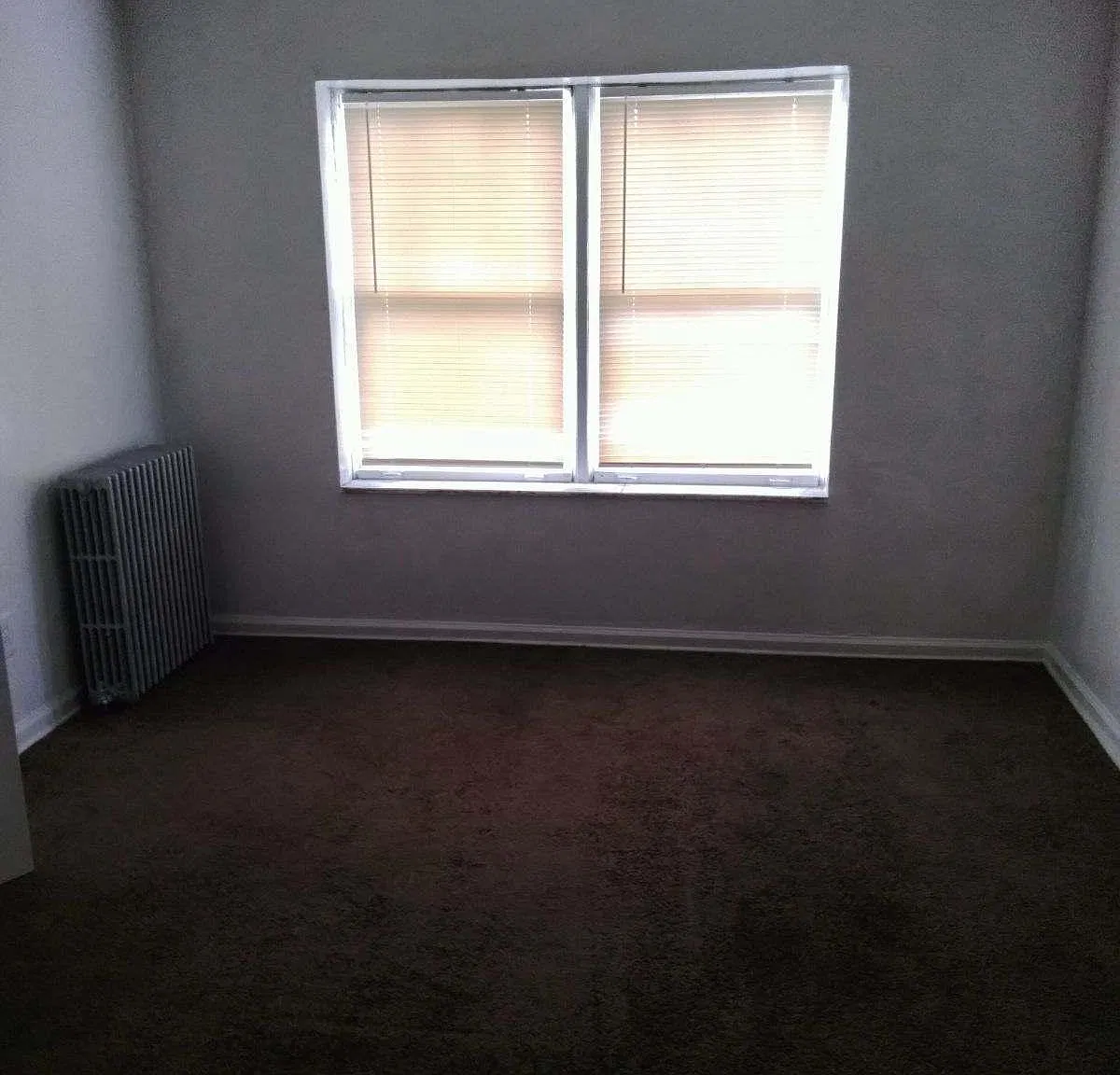 1 bed, $800 — Photo 2