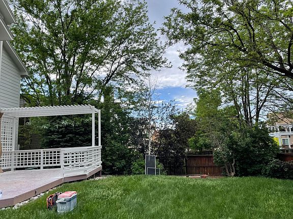 Backyard view