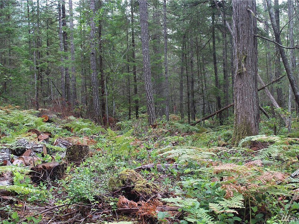2nd image of 51 N Tyee Pl
