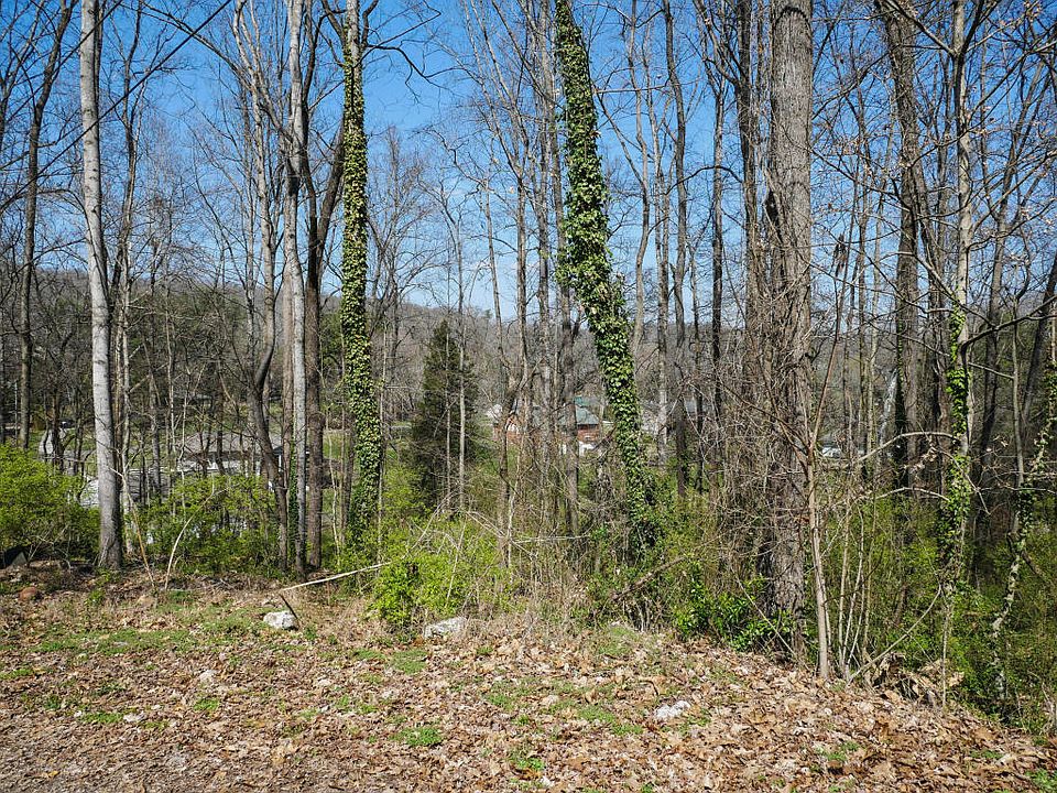2nd image of Cedar Cir