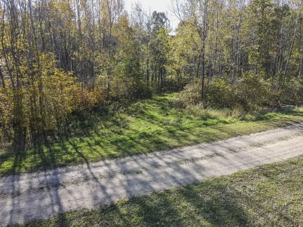 N Shanty Dr, Lake George, MN 56458