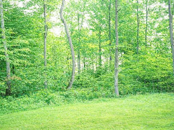 8922 Cedar Creek Dr, Petoskey, MI 49770