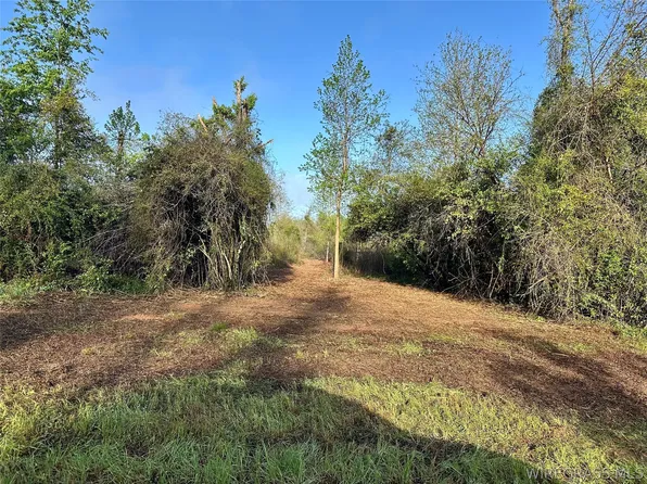 N County Road 61, Hartford, AL 36344