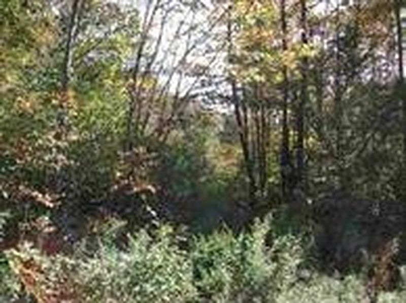 4th image of 0 ARMLIN Road