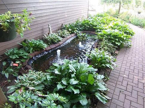 front entry pond