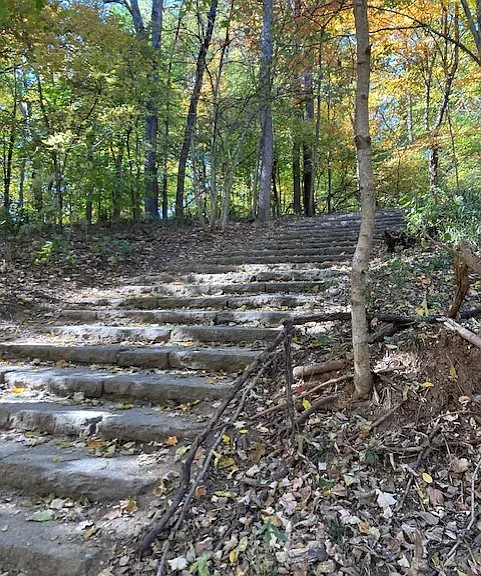 Picture of Cherokee Park