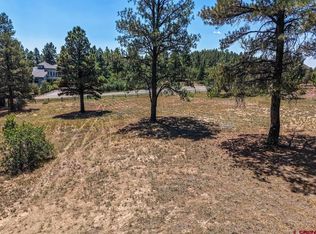 393 Martinez Pl, Pagosa Springs, CO 81147