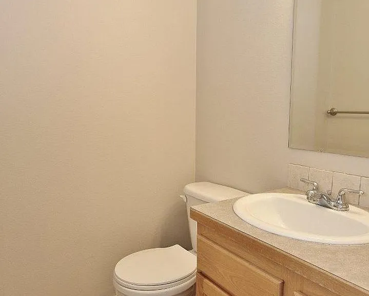 17696 Dark Zebra Way — Photo 23