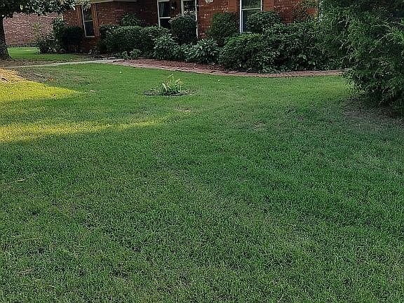 Front yard
