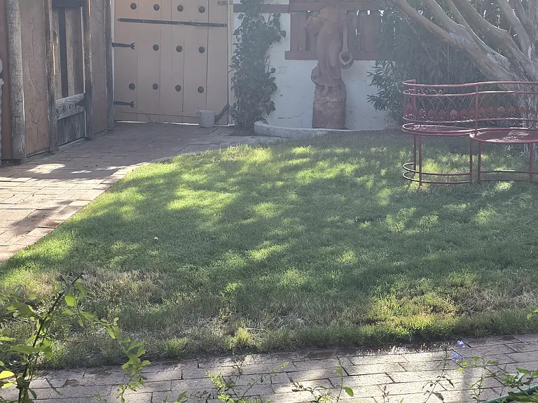 61 N Las Yucas — Photo 5