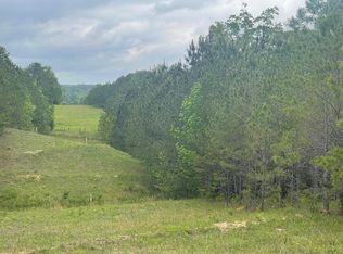 0 County Road 1725, Bay Springs, MS 39422