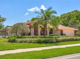 2885 Armadillo Dr, Palm Harbor, FL 34683