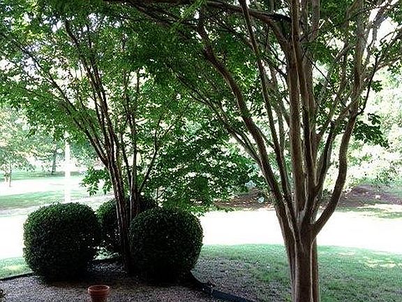 3rd image of 12217 High Meadow Ct