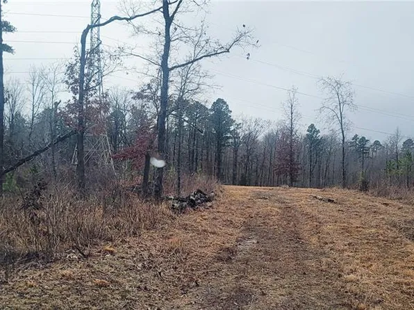 0 Delbridge Rd, Potosi, MO 63664