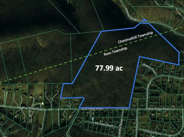 Blue Ridge Rd, Saylorsburg, PA 18353
