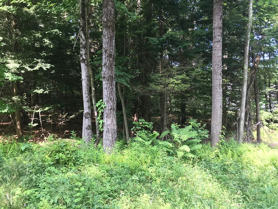 2nd image of 55 Grange Rd