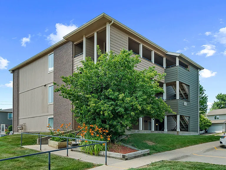 Open, Green Lawn Space for Pets & Play