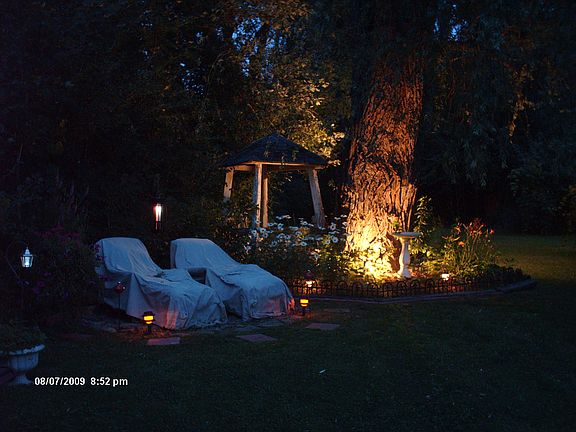 Tree garden at night