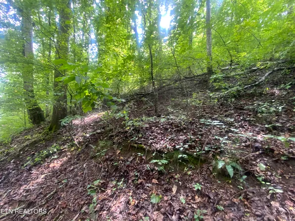 LOT 64 Hiwassee View Dr, Jacksboro, TN 37757