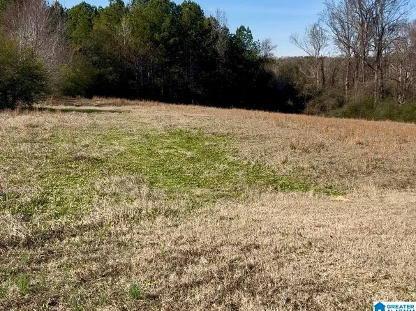 8449 Daniel Trl Lot 27, Dora, AL 35062