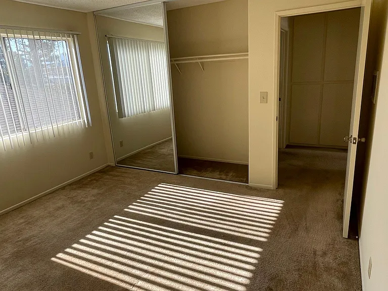 Large Mirrored Closet