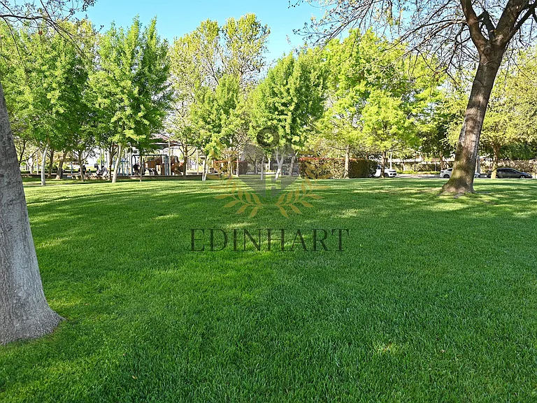 1439 E Via Albero Dr — Photo 43