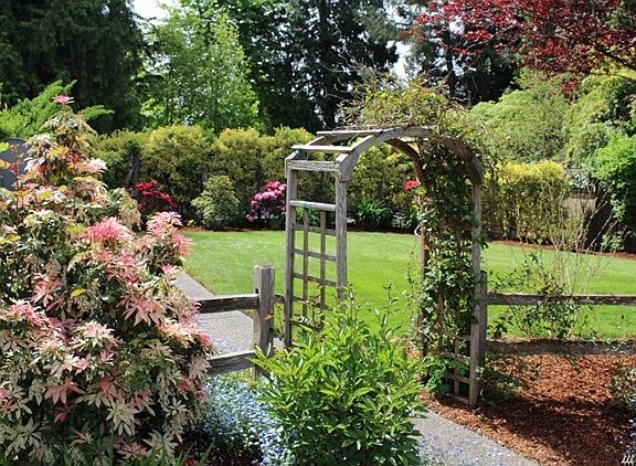 Just a sample of the lawn and shrub/plants that protect the garden area from the public.  Perennials are just being to bloom!