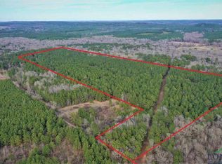 County Road 1201, Daingerfield, TX 75638