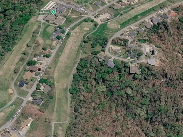 La Costa Dr #4, Eureka Springs, AR 72631