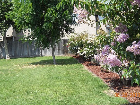 rear lawn area/in bloom