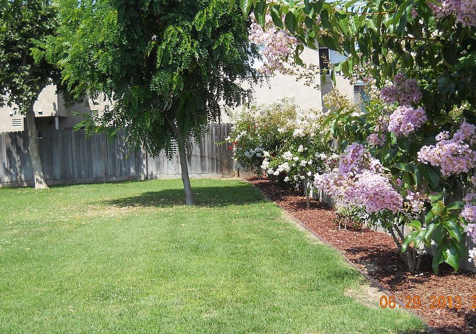 rear lawn area/in bloom