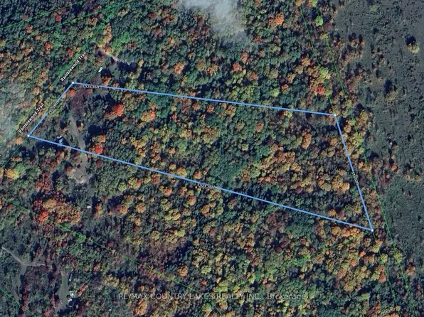 3 Ramblewood Trl, Kawartha Lakes, ON K0M 2B0