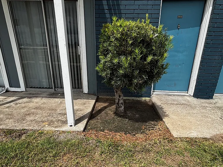 Edinburg Place Apartments — Photo 30