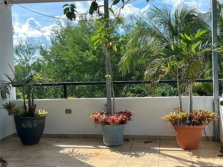 0 Albacora — Photo 25