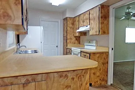 973 E Bramblebush Cir — Photo 11