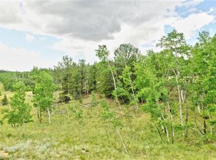 440 Sharps Way, Como, CO 80456