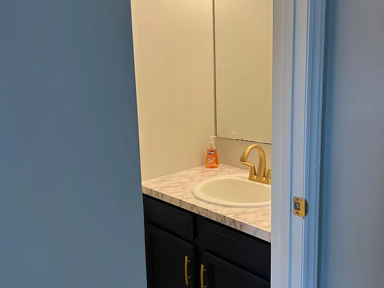 6218 Windsor Gate Ln — Photo 4