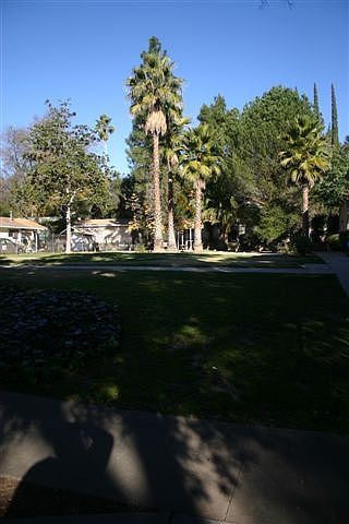 501-507 Ventura Street Open Space_12292016