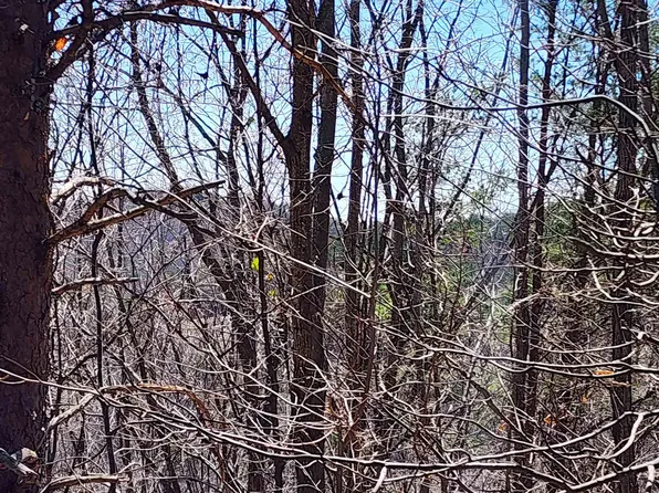 320 Foggy Cut Ln, Landrum, SC 29356