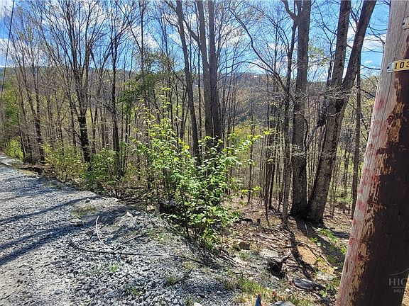 4th image of 236 Wild Daisy Lane