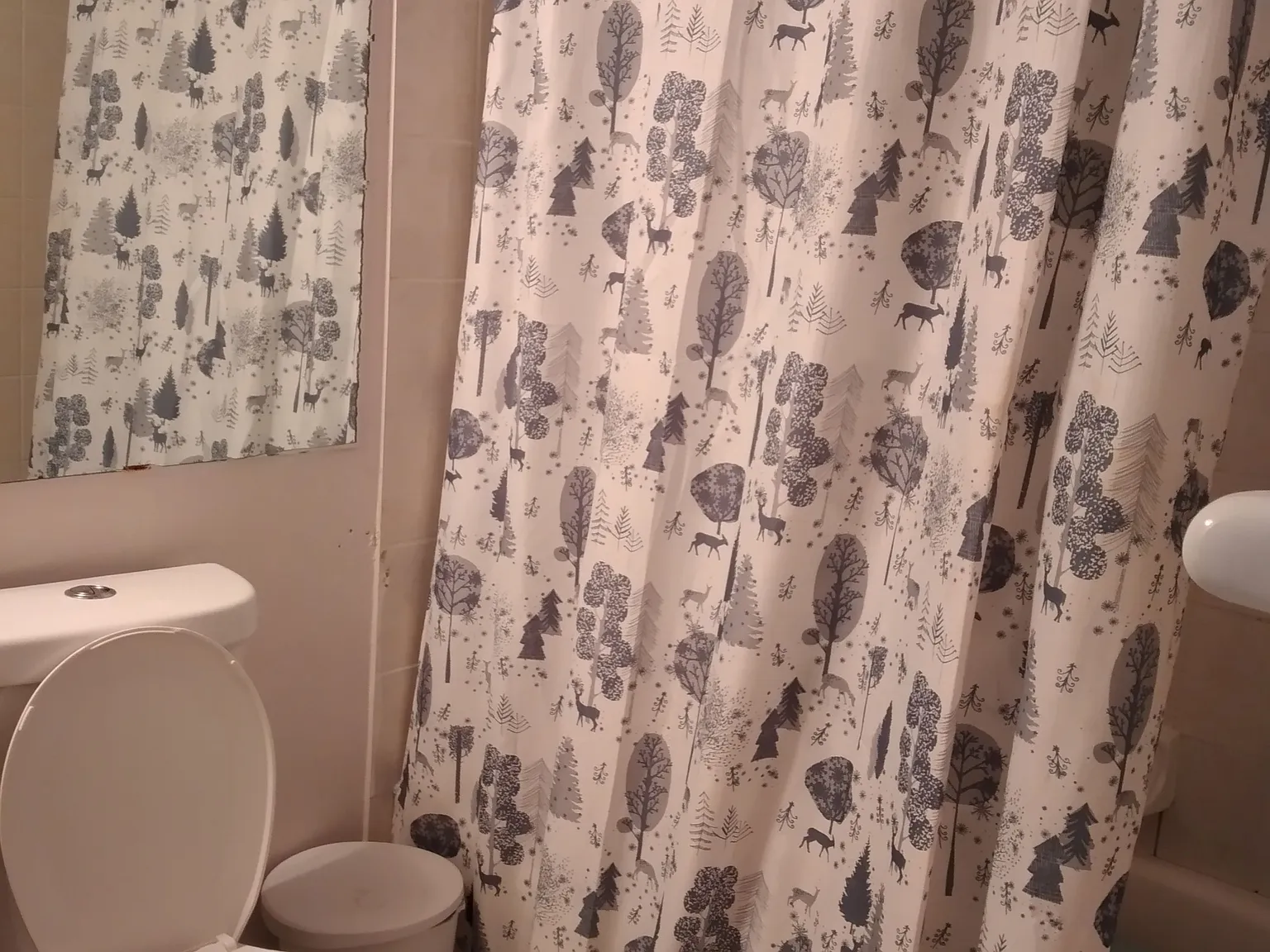 2 bed, $2,200 — Photo 4