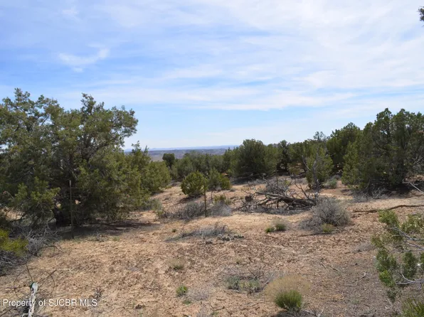 Xxx Lions Trl, Farmington, NM 87401