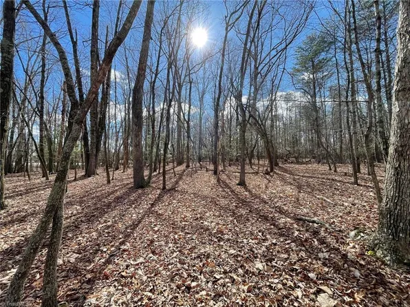 Mount Pleasant Church Rd, State Road, NC 28676