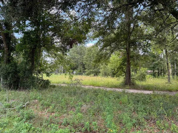 1329 NW Hamp Farmer Rd, Lake City, FL 32055