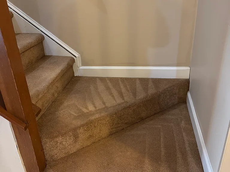 12 Durbin Pl — Photo 32