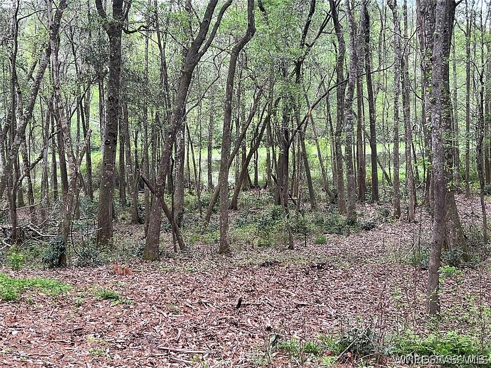 1st image of 0 Driftwood Ln