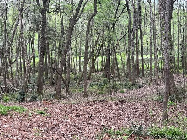 0 Driftwood Ln, Andalusia, AL 36421