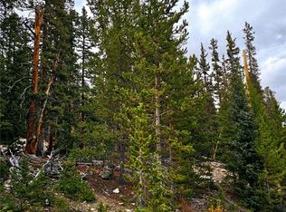 387 El Lobo Ln, Fairplay, CO 80440